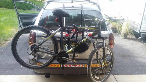 53048542256_b8ca81be61_c